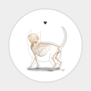 Skeleton Cat - White background Magnet